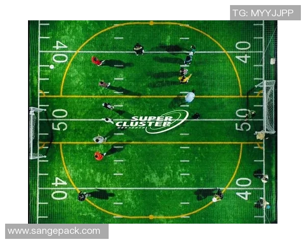 广州飞盘队与北京飞盘队赛后复盘探讨双方配合与战术分析