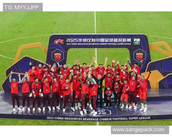 杭州足球队实力强劲荣登全国足球力量排行榜第三名