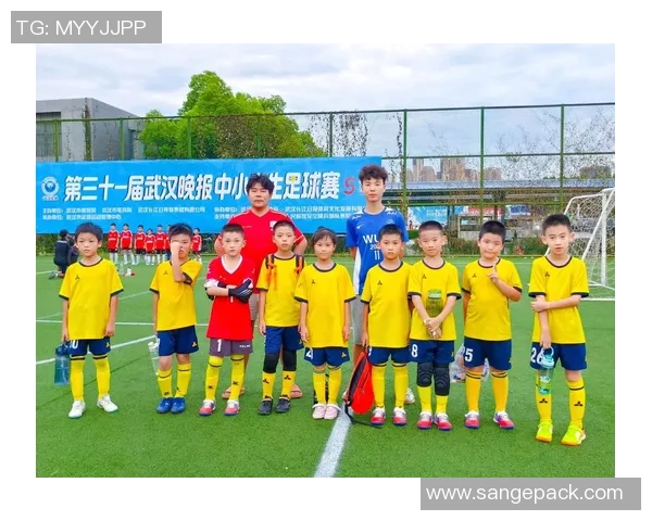 武汉足球队运营新模式探讨与发展前景分析